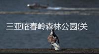三亞臨春嶺森林公園(關于三亞臨春嶺森林公園簡述)