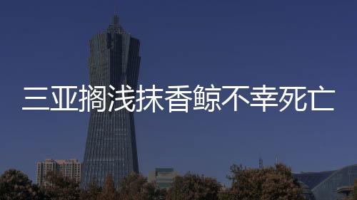 三亞擱淺抹香鯨不幸死亡 具體死亡原因尚無定論！