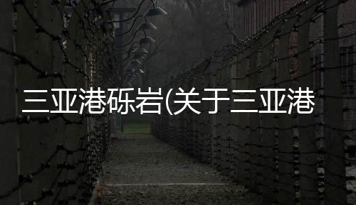 三亞港礫巖(關于三亞港礫巖簡述)