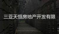 三亞天恒房地產(chǎn)開發(fā)有限公司(關(guān)于三亞天恒房地產(chǎn)開發(fā)有限公司簡述)