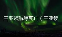 三亞領航鯨死亡（三亞領航鯨死因是什么）