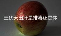 三伏天出汗是排毒還是體虛？三伏天出汗多能減肥嗎？
