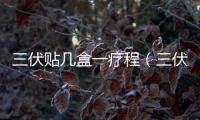三伏貼幾盒一療程（三伏貼一個療程多少錢）