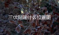 三伏貼貼什么位置圖