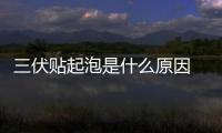 三伏貼起泡是什么原因 三伏貼起泡好還是不好