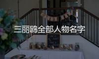 三麗鷗全部人物名字