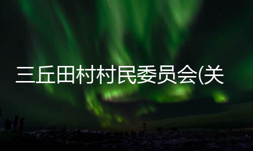 三丘田村村民委員會(關于三丘田村村民委員會簡述)