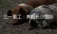 三一重工：亮相長沙國際車展