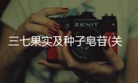 三七果實(shí)及種子皂苷(關(guān)于三七果實(shí)及種子皂苷簡(jiǎn)述)