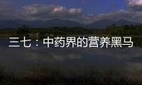 三七：中藥界的營養黑馬，你真的了解它嗎？