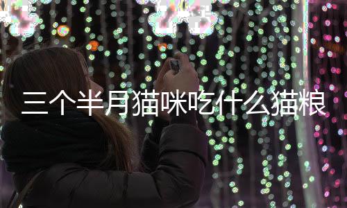 三個半月貓咪吃什么貓糧(1個半月的貓咪吃什么)