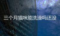 三個月貓咪能洗澡嗎還沒有打疫苗？3個月左右的貓咪能洗澡嗎