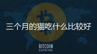 三個(gè)月的貓吃什么比較好？三個(gè)月的貓吃些什么