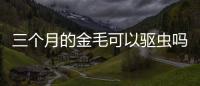 三個月的金毛可以驅蟲嗎(三個月金毛體內驅蟲多久一次)