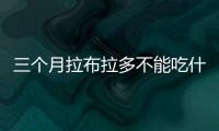 三個月拉布拉多不能吃什么東西？三個月拉布拉多不能吃什么食物
