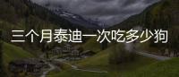 三個月泰迪一次吃多少狗糧(三個月泰迪亂拉亂尿怎么辦)