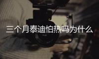 三個月泰迪怕熱嗎為什么？3個月泰迪怕冷嗎