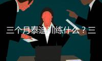 三個月泰迪訓練什么？三個月泰迪訓練大小便