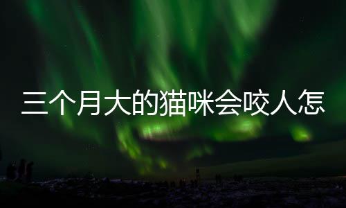 三個(gè)月大的貓咪會(huì)咬人怎么辦呢？三個(gè)月的貓咬人怎么回事