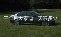 三個月大泰迪一天喂多少狗糧(三個月的泰迪喂多少狗糧合適)