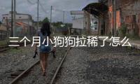 三個(gè)月小狗狗拉稀了怎么辦啊？三個(gè)月的狗狗拉稀怎么辦