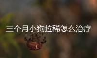 三個月小狗拉稀怎么治療(三個月的小狗拉血是什么原因)