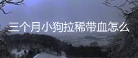 三個月小狗拉稀帶血怎么辦(三個月小狗拉稀帶血怎么治療)