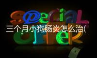 三個月小狗腸炎怎么治(三個月小狗不吃東西怎么辦)