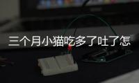 三個月小貓吃多了吐了怎么辦(三個月小貓吃多了怎么辦?肚子很硬)