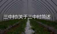 三中村(關(guān)于三中村簡述)