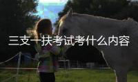 三支一扶考試考什么內(nèi)容（三支一扶考試具體內(nèi)容）