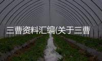 三曹資料匯編(關(guān)于三曹資料匯編簡述)