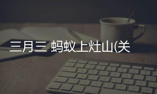 三月三 螞蟻上灶山(關于三月三 螞蟻上灶山簡述)
