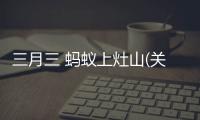 三月三 螞蟻上灶山(關(guān)于三月三 螞蟻上灶山簡述)