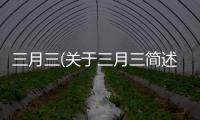 三月三(關于三月三簡述)