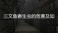 三文魚寄生蟲的危害及如何避免,三文魚寄生蟲檢測方法與注意事項