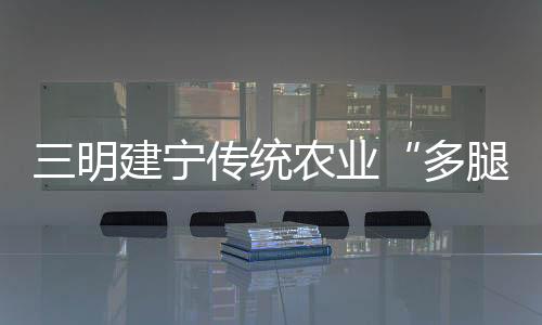 三明建寧傳統(tǒng)農(nóng)業(yè)“多腿走路” 橫向拓展做好特色農(nóng)業(yè)“加法”
