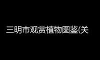 三明市觀賞植物圖鑒(關(guān)于三明市觀賞植物圖鑒簡述)