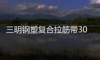 三明鋼塑復(fù)合拉筋帶30020C廠家電話