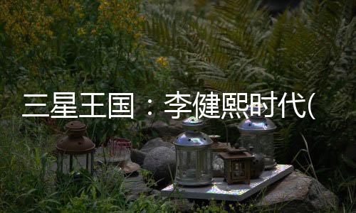 三星王國：李健熙時代(關于三星王國：李健熙時代簡述)