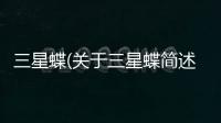 三星蝶(關于三星蝶簡述)