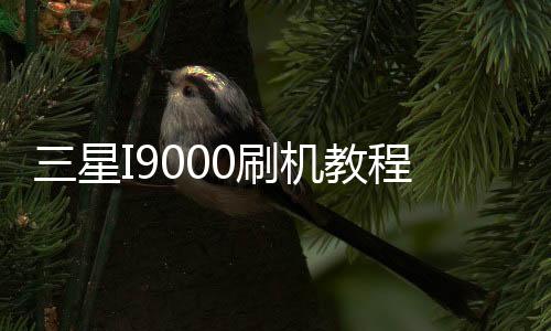三星I9000刷機教程