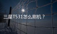 三星T531怎么刷機？教程詳解，一鍵線刷救磚