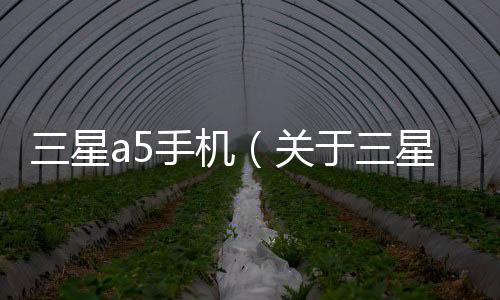 三星a5手機（關于三星a5手機的基本情況說明介紹）
