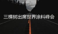 三棵樹出席世界涂料峰會 洪杰董事長作主題演講