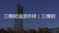 三棵樹油漆咋樣（三棵樹漆怎么樣）