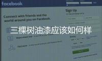 三棵樹油漆應該如何樣