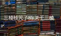 三棱枝笐子梢(關于三棱枝笐子梢簡述)