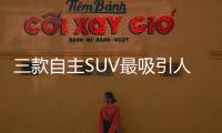三款自主SUV最吸引人 也相對廉價