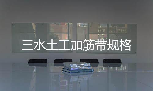 三水土工加筋帶規(guī)格